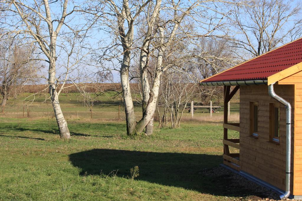 Pusztaeldorado Tiszagyenda Zewnętrze zdjęcie